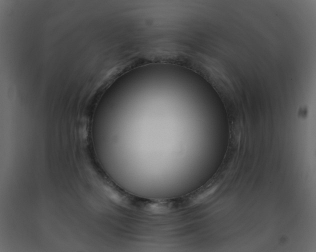 X0000091990232200709271454