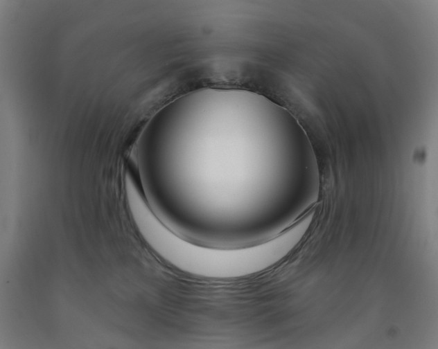 X0000091990233200709271454