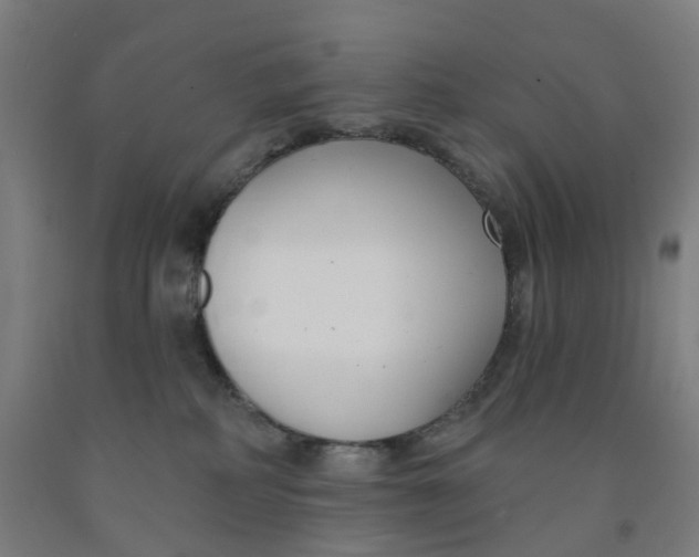 X0000091990234200709271454