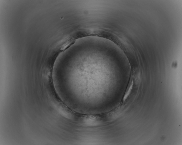 X0000091990235200709271454