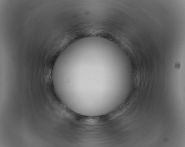 X0000091990236200709271454