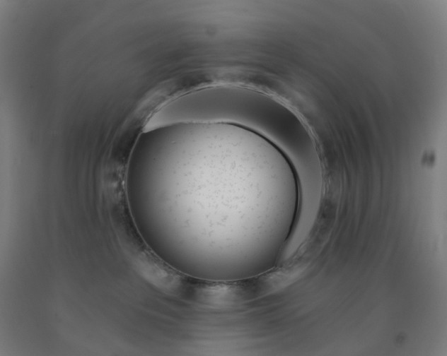 X0000091990237200709271454