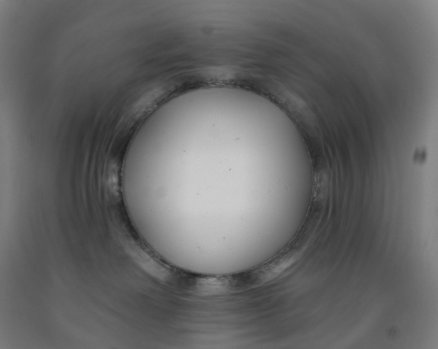 X0000091990238200709271454