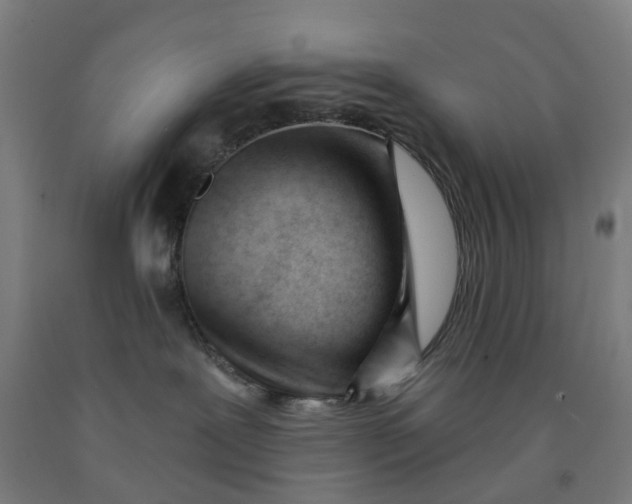 X0000091990239200709271454