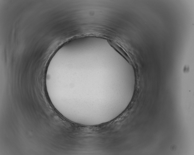 X0000091990241200709271453