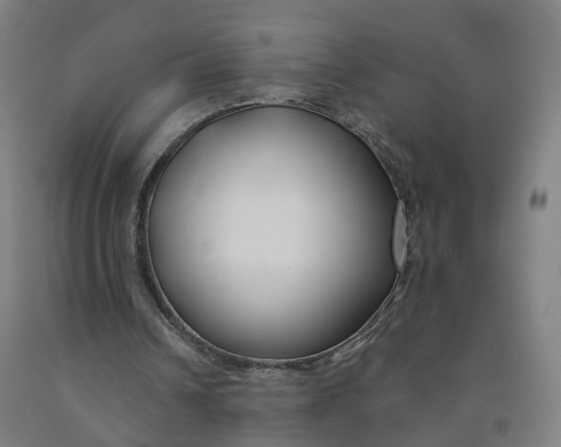 X0000091990242200709271453