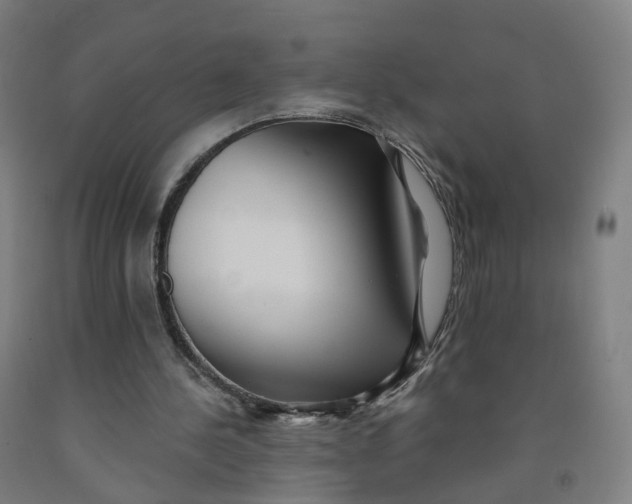 X0000091990244200709271453