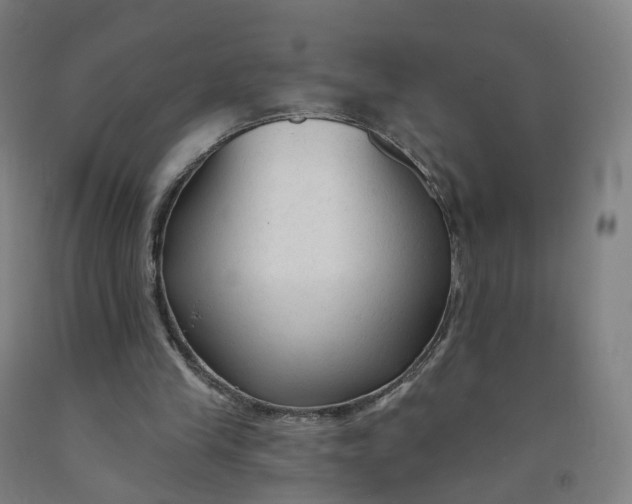 X0000091990245200709271453