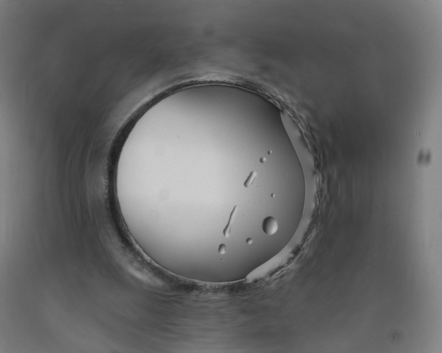 X0000091990247200709271453