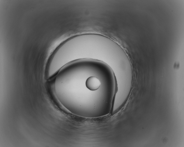 X0000091990248200709271453