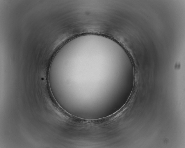 X0000091990249200709271453