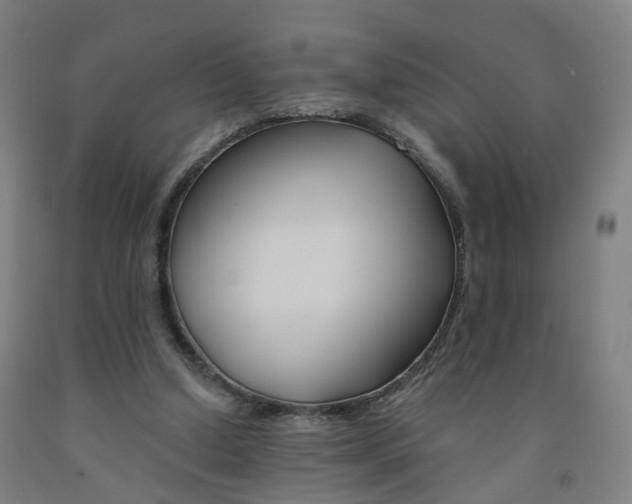 X0000091990250200709271453