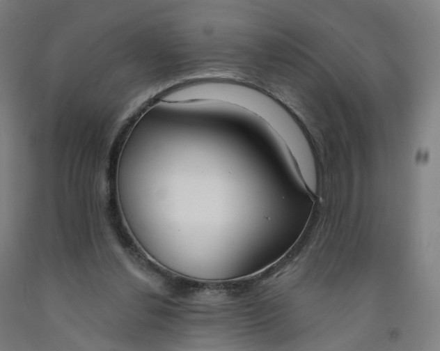 X0000091990252200709271453