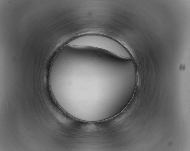 X0000091990253200709271453