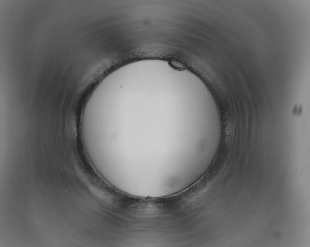 X0000091990254200709271453