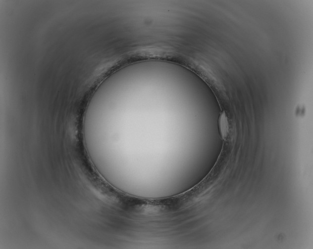 X0000091990255200709271453