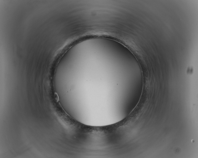 X0000091990256200709271453