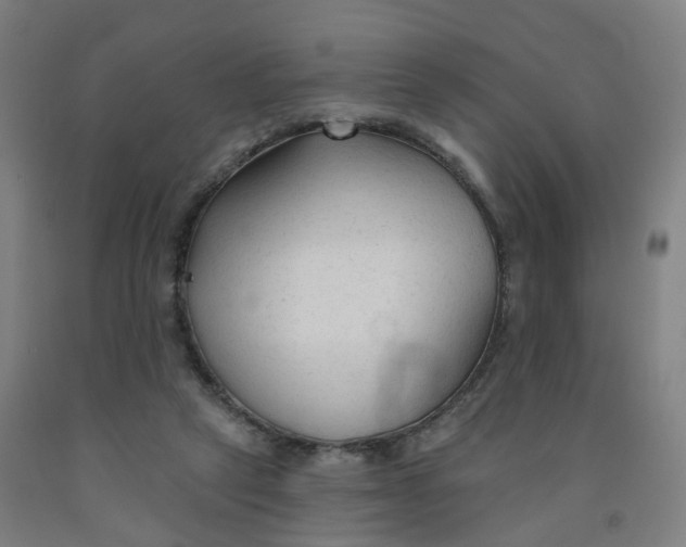 X0000091990257200709271453