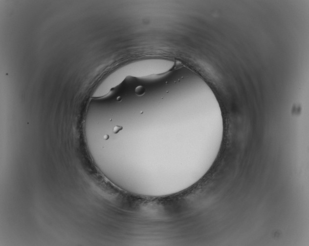 X0000091990258200709271453