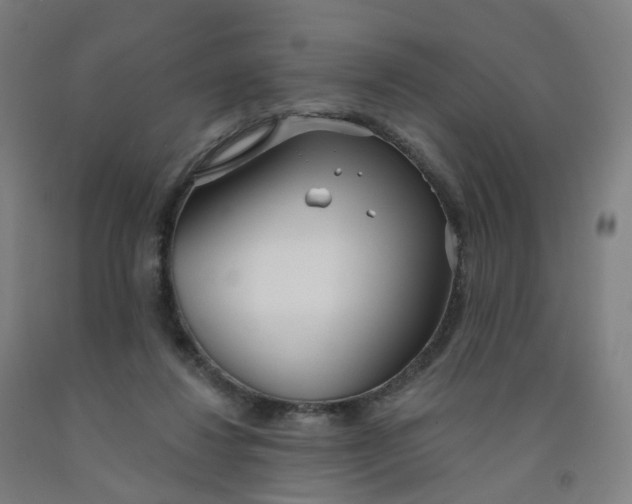 X0000091990260200709271453