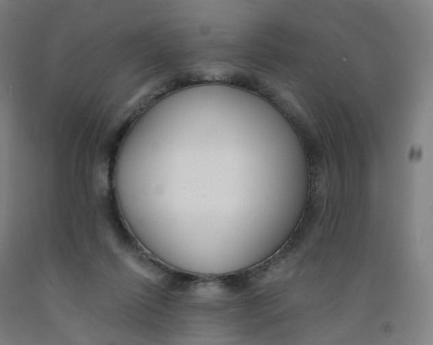 X0000091990262200709271453