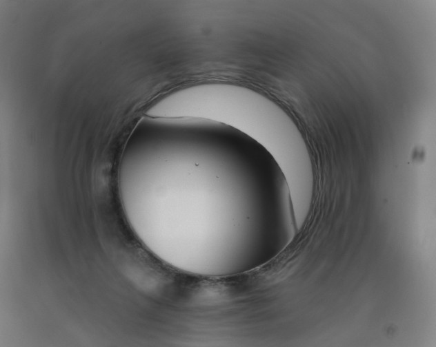 X0000091990263200709271453