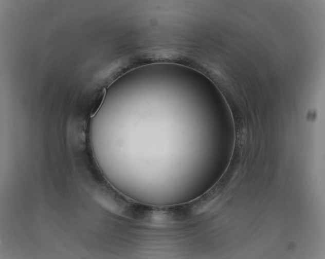 X0000091990264200709271453