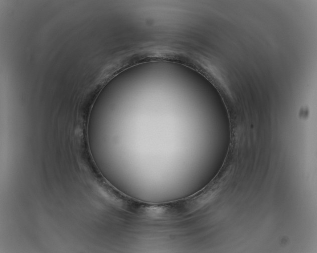 X0000091990265200709271453