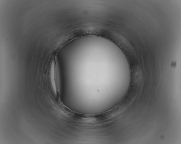 X0000091990266200709271453