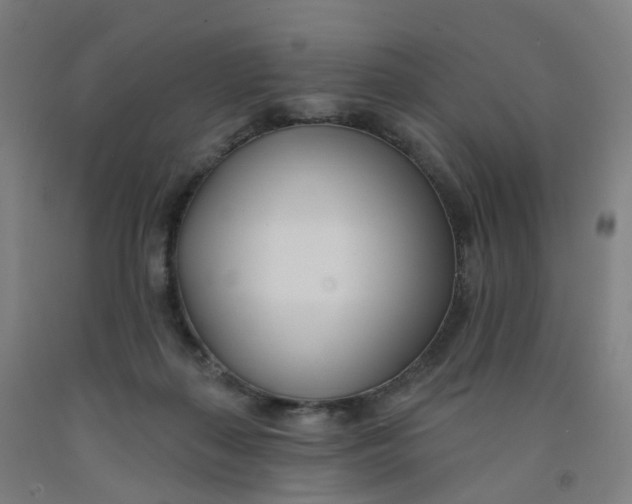 X0000091990267200709271453