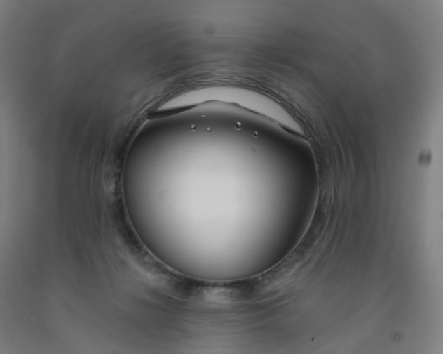 X0000091990268200709271453