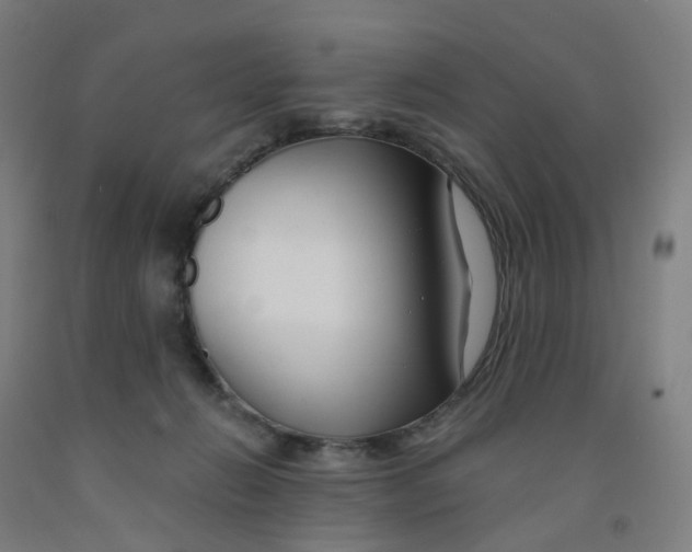 X0000091990270200709271453