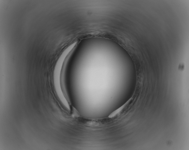 X0000091990272200709271453