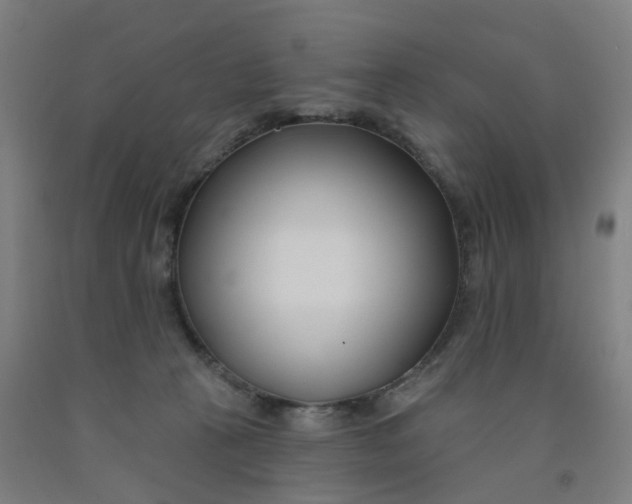 X0000091990273200709271453