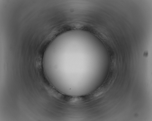 X0000091990274200709271453