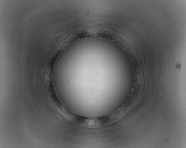 X0000091990275200709271453