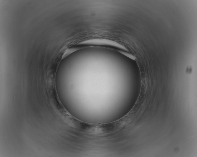 X0000091990276200709271453