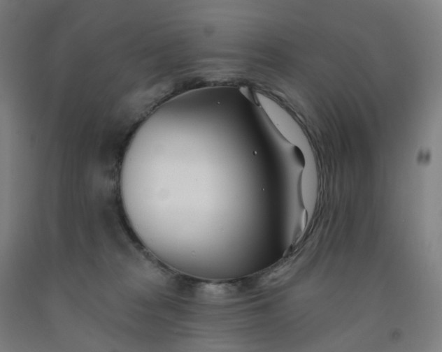 X0000091990277200709271453