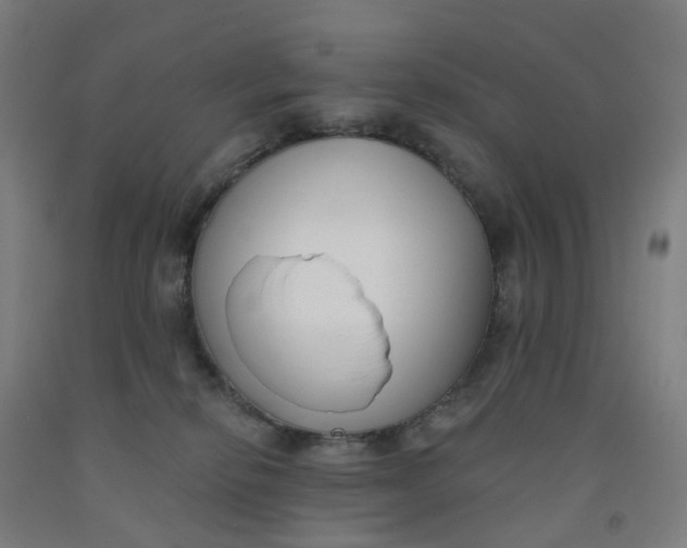 X0000091990278200709271453