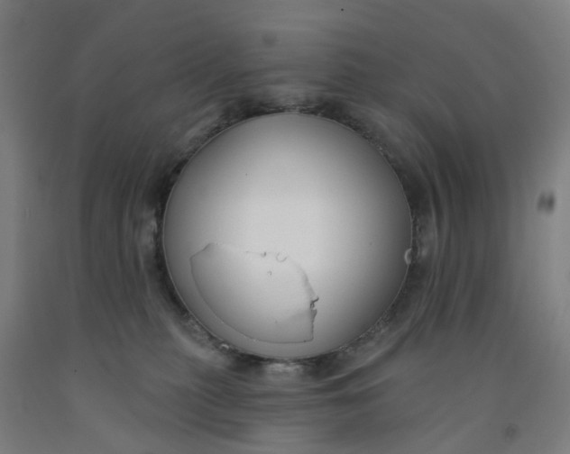 X0000091990279200709271453