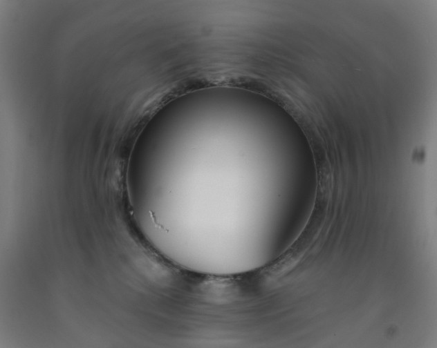 X0000091990280200709271453