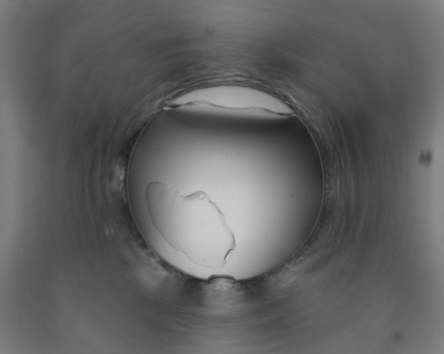 X0000091990281200709271453