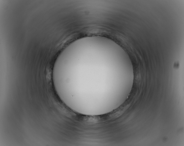 X0000091990282200709271453