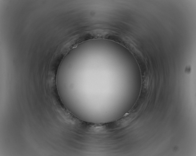 X0000091990283200709271453