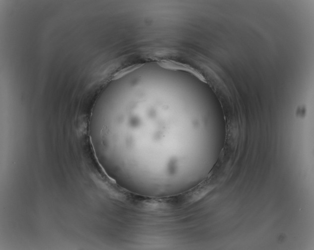 X0000091990284200709271453