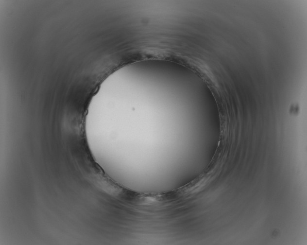 X0000091990285200709271453