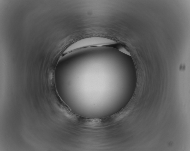 X0000091990288200709271454