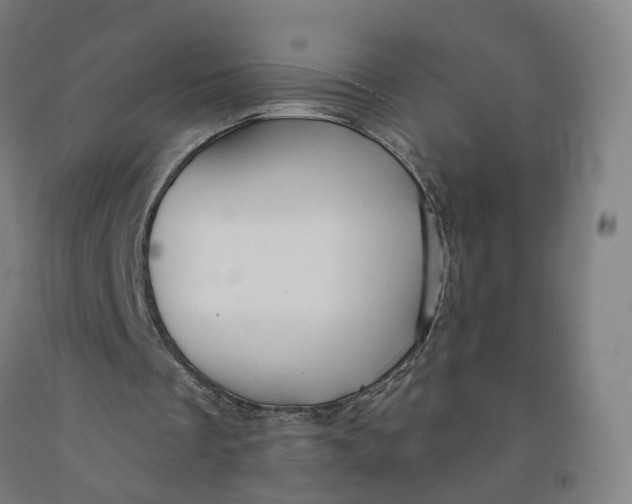 X0000091990289200709271453