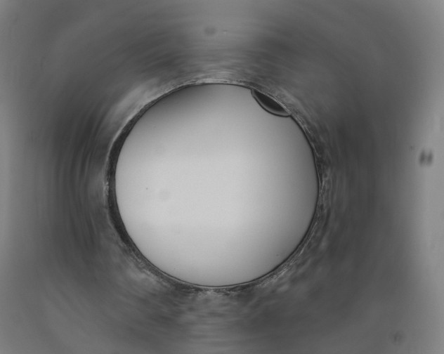 X0000091990290200709271453