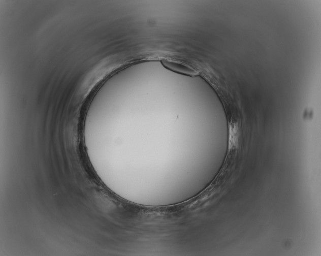 X0000091990291200709271453